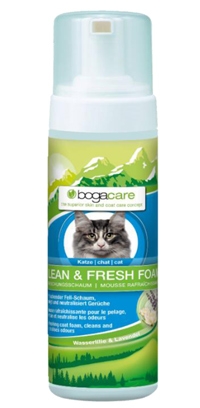 SHAMPOO CLEAN &amp; FRESH FOAM | Dry Shampoo (foam) formulated for frequent use, particularly in cats afraid of water