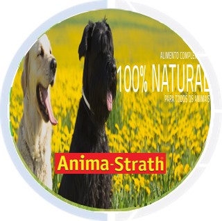 Site Anima Strath
