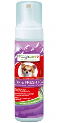 SHAMPOO CLEAN &amp; FRESH FOAM | Dry shampoo (foam) for cleaning without the use of water